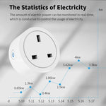 Smart Wifi UK Plug (16A/20A)